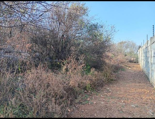 LAND FOR SALE IN VAALOEWER